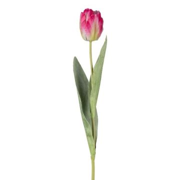 Dekorativ tulpan GUSNAV, cerise-grön-vit, 50cm, Ø5cm Dekorativ tulpan GUSNAV, cerise-grön-vit, 50cm, Ø5cm