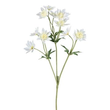 Konstgjord blomkvist med scabiosa FROSA, vit, 65cm Konstgjord blomkvist med scabiosa FROSA, vit, 65cm