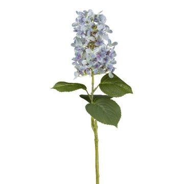 Plastblomma, risthortensia KINELY, ljusblå, 75cm Plastblomma, risthortensia KINELY, ljusblå, 75cm