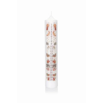 Adventskalender, blockljus LAMBERTINA, adventsdagar med fototryck, vit-färgglad, 26,5cm, Ø5cm - Tillverkad i Tyskland Adventskalender, blockljus LAMBERTINA, adventsdagar med fototryck, vit-färgglad, 26,5cm, Ø5cm - Tillverkad i Tyskland