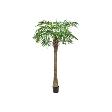 Dadelpalm i plast CARTER, 240cm