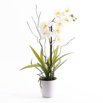 Plast Phalaenopsis-orkidé MELINA i dekorativ kruka, vit, 65cm
