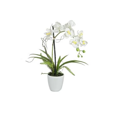 Plast Phalaenopsis-orkidé MELINA i dekorativ kruka, vit, 65cm Plast Phalaenopsis-orkidé MELINA i dekorativ kruka, vit, 65cm