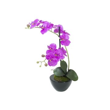 Plast-phalaenopsisorkidé MELINA i keramikkruka, cerise, 45cm