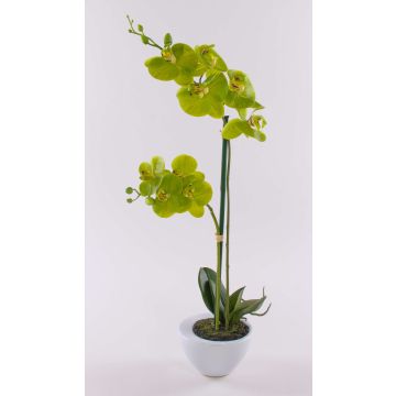 Konstgjord Phalaenopsis-orkidé AURELIA i keramikkruka, grön, 55cm Konstgjord Phalaenopsis-orkidé AURELIA i keramikkruka, grön, 55cm