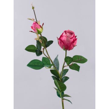 Konstgjord ros CARUSA, cerise, 80cm, Ø8cm Konstgjord ros CARUSA, cerise, 80cm, Ø8cm
