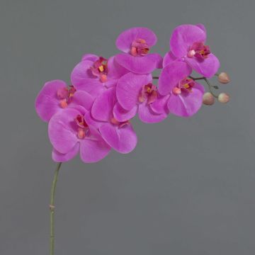 Konstgjord blomgren med Phalaenopsis-orkidé AURELIA, cerise, 95cm, Ø9-11cm Konstgjord blomgren med Phalaenopsis-orkidé AURELIA, cerise, 95cm, Ø9-11cm
