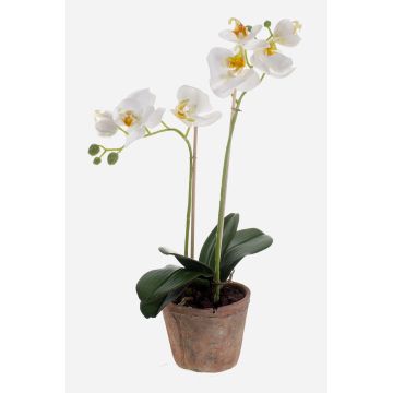Konstgjord Phalaenopsis-orkidé MINA i terrakottakruka, vit, 45cm