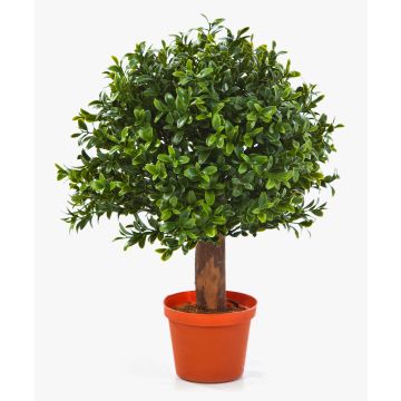 Konstgjord buxbom TOM, naturstam, 35cm, Ø25cm