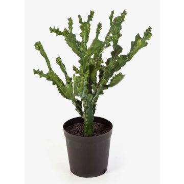 Konstgjord Euphorbia trigona TIKO, grön, 75cm Konstgjord Euphorbia trigona TIKO, grön, 75cm