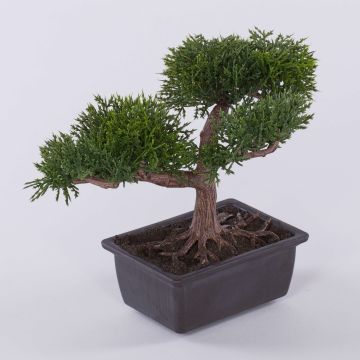 Konstgjord bonsai-ceder ALVARI med rötter, i dekorativ skål, 20cm