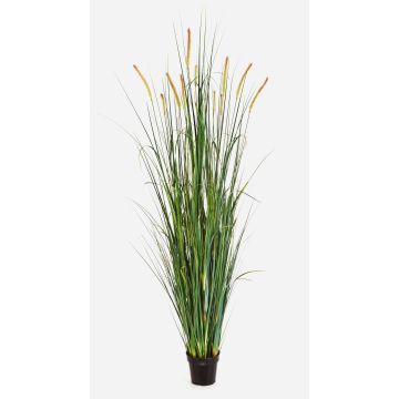 Konstgjort rävsvansgräs FEHMI med ax, grönt, 175cm