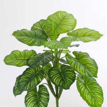 Konstgjord Calathea Orbifolia ULANI på stödpinne, grön, 45cm