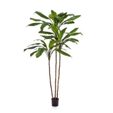 Konstväxt klubblilja KAIA, äkta stammar, grön, 240cm