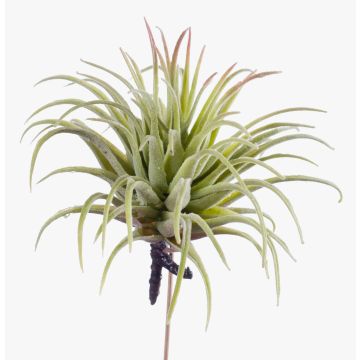 Konstgjord tillandsia Ionantha PENNY, på pinne, grön-röd, 12cm, Ø10cm Konstgjord tillandsia Ionantha PENNY, på pinne, grön-röd, 12cm, Ø10cm