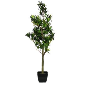Podocarpus AMANDO i plast, konstgjord stam, 90cm Podocarpus AMANDO i plast, konstgjord stam, 90cm