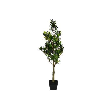 Podocarpus AMANDO i plast, konstgjord stam, 90cm Podocarpus AMANDO i plast, konstgjord stam, 90cm