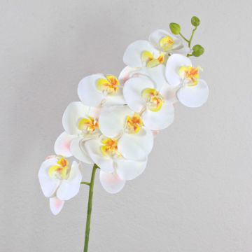 Konstgjord Phalaenopsis-orkidégren OPHELIA, vit, 100cm, Ø9-12cm