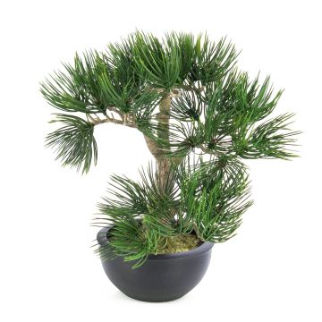 Konstgjord bonsaitall CATALINA i planteringsskål, 35cm