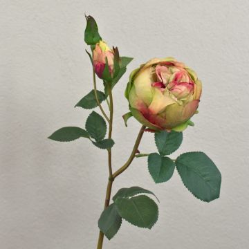 Konstgjord kålros MIRETTA, grön-vinröd, 60cm, Ø3-9cm Konstgjord kålros MIRETTA, grön-vinröd, 60cm, Ø3-9cm