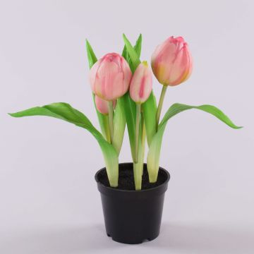 Konstgjord tulpan CAITLYN i dekorativ kruka, rosa-grön, 25cm, Ø2-6cm