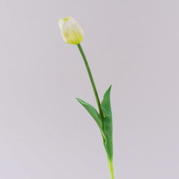 Konstgjord tulpan LONA, vit-grön, 45cm, Ø4cm