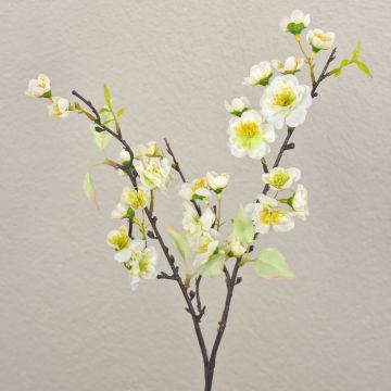 Konstgjord körsbärsblomgren SOEY med blommor, krämvit, 45cm, Ø2-4,5cm Konstgjord körsbärsblomgren SOEY med blommor, krämvit, 45cm, Ø2-4,5cm