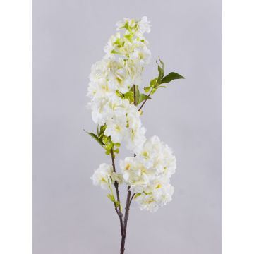 Konstgjord körsbärsblomkvist MATSUDA med blommor, krämvit, 80cm, Ø6-11cm Konstgjord körsbärsblomkvist MATSUDA med blommor, krämvit, 80cm, Ø6-11cm