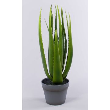 Aloe vera NAMIKA i dekorativ kruka, grön, 60cm, Ø60cm