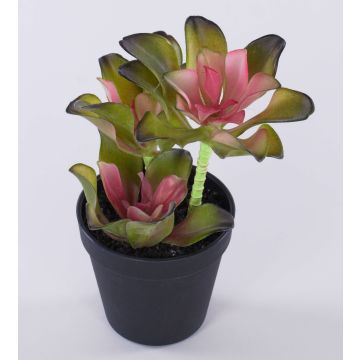 Konstgjord Echeveria gibbiflora SHAUNA i dekorativ kruka, grön-violett, 25cm Konstgjord Echeveria gibbiflora SHAUNA i dekorativ kruka, grön-violett, 25cm