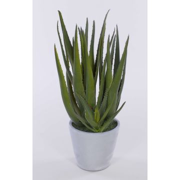 Aloe vera NAMIKA i betongkruka, grön, 40cm, Ø40cm
