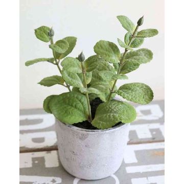 Konstgjord mynta ALBUS i betongkruka, grön, 17cm