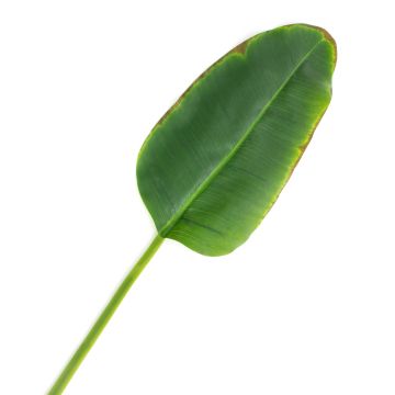 Konstgjort bananblad YUMI, 95cm