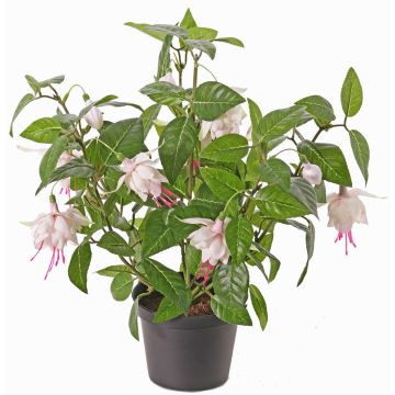 Konstgjord fuchsia THAYNARA, blekrosa, 30cm, Ø5cm Konstgjord fuchsia THAYNARA, blekrosa, 30cm, Ø5cm