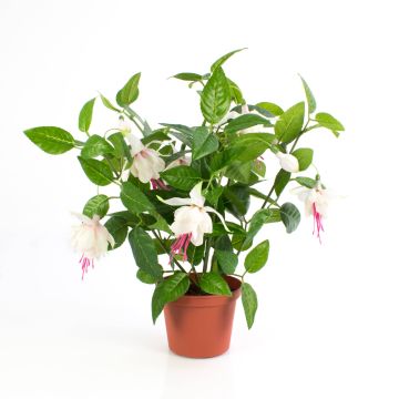 Konstgjord fuchsia THAYNARA, blekrosa, 30cm, Ø5cm Konstgjord fuchsia THAYNARA, blekrosa, 30cm, Ø5cm
