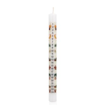 Adventskalender med stavljus LAMBERTINA, adventsdagar med fototryck, vit-färgglad, 25cm, Ø2,3cm - Tillverkad i Tyskland Adventskalender med stavljus LAMBERTINA, adventsdagar med fototryck, vit-färgglad, 25cm, Ø2,3cm - Tillverkad i Tyskland
