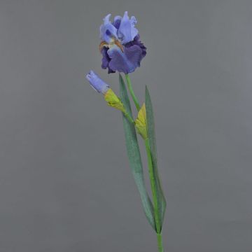 Konstgjord iris ALYSSA, blå, 70cm, Ø13cm Konstgjord iris ALYSSA, blå, 70cm, Ø13cm