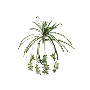 Plastgrönlilja MALOU på stickpinne, grön-vit, 60cm