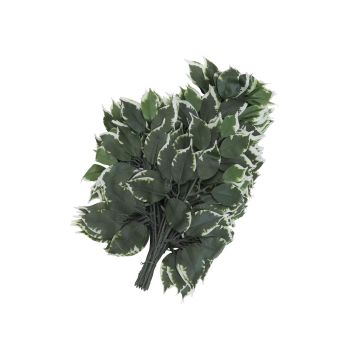 Konstgjord Ficus Benjamini-gren SAKURA, 12 stycken, grön-vit, 60cm Konstgjord Ficus Benjamini-gren SAKURA, 12 stycken, grön-vit, 60cm