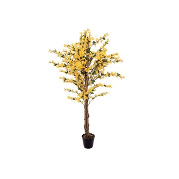 Konstgjord forsythia MISAKI, äkta stammar, med blommor, gul, 150cm