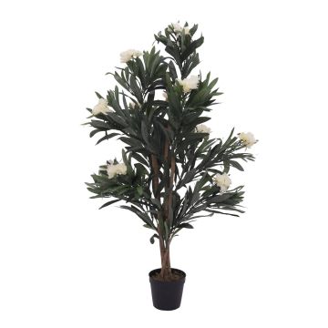 Konstgjord oleander MINOU, äkta stammar, med blommor, vit, 120cm