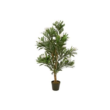 Konstgjord oleander MINOU, äkta stammar, med blommor, vit, 120cm Konstgjord oleander MINOU, äkta stammar, med blommor, vit, 120cm