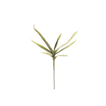 Plastskum Yucca elephantipes SHIRIN, crossdoor, 105cm