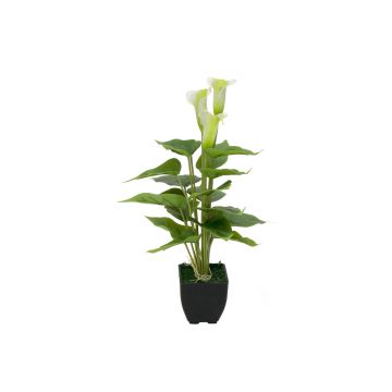 Plastcalla JAMILA i dekorativ kruka, vit, 40cm, 4x6cm