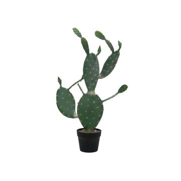 Plastfikonkaktus ALEJANDRO, grön, 75cm Plastfikonkaktus ALEJANDRO, grön, 75cm