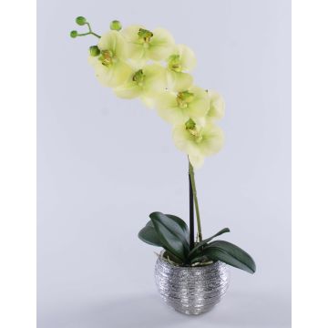 Konstgjord orkidé Phalaenopsis EMILIA, dekorativ kruka, krämgrön, 45cm Konstgjord orkidé Phalaenopsis EMILIA, dekorativ kruka, krämgrön, 45cm
