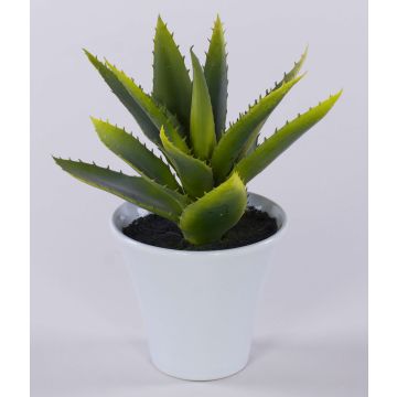 Konstgjord aloe vera ROSALINA i keramikkruka, grön, 21cm Konstgjord aloe vera ROSALINA i keramikkruka, grön, 21cm