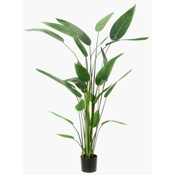 Konstväxt Heliconia ANURIA, 175cm Konstväxt Heliconia ANURIA, 175cm