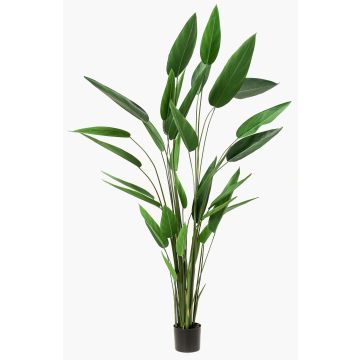 Konstväxt Heliconia ANURIA, 220cm Konstväxt Heliconia ANURIA, 220cm