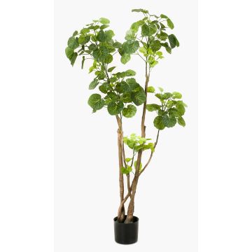 Konstväxt Fiederaralie FILARO, konststammar, 135cm Konstväxt Fiederaralie FILARO, konststammar, 135cm